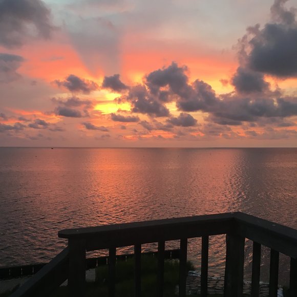 Meet your Posher, Molly - Picture 1 of 1